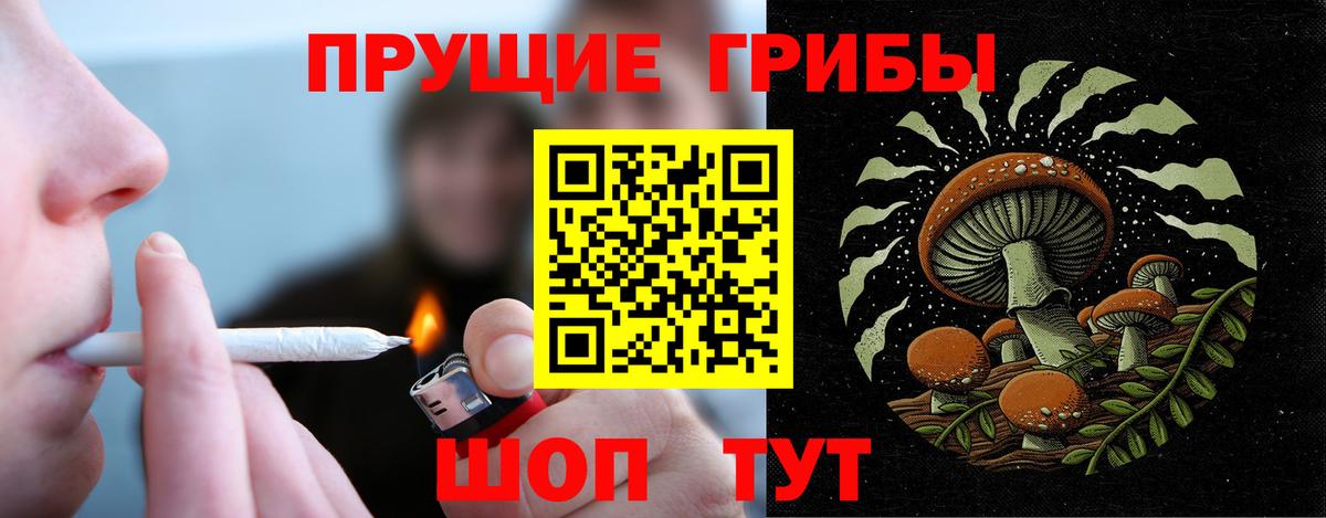 Псилоцибиновые грибы GOLDEN TEACHER Павловский Посад